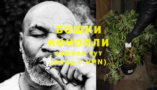 винт Бронницы