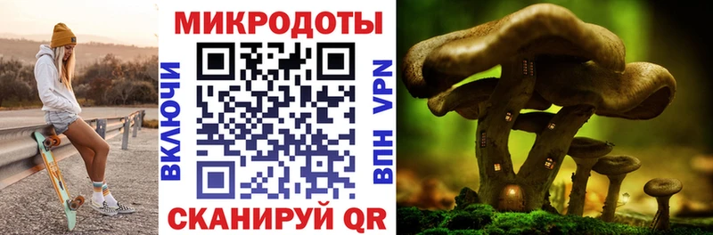 Галлюциногенные грибы Magic Shrooms  как найти закладки  мега как войти  Мостовской 